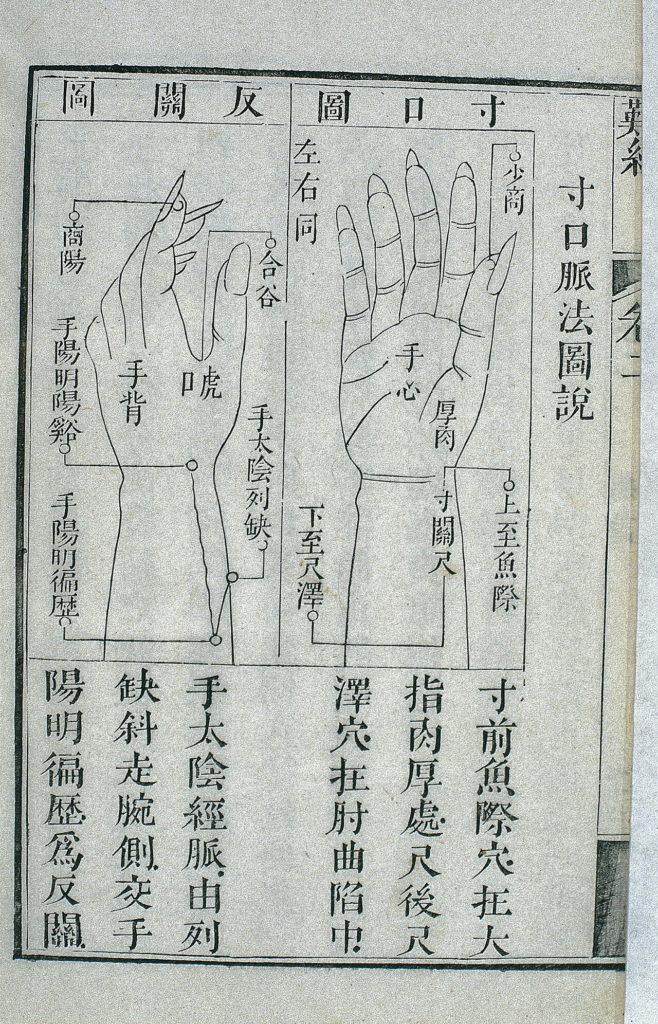 Palpation