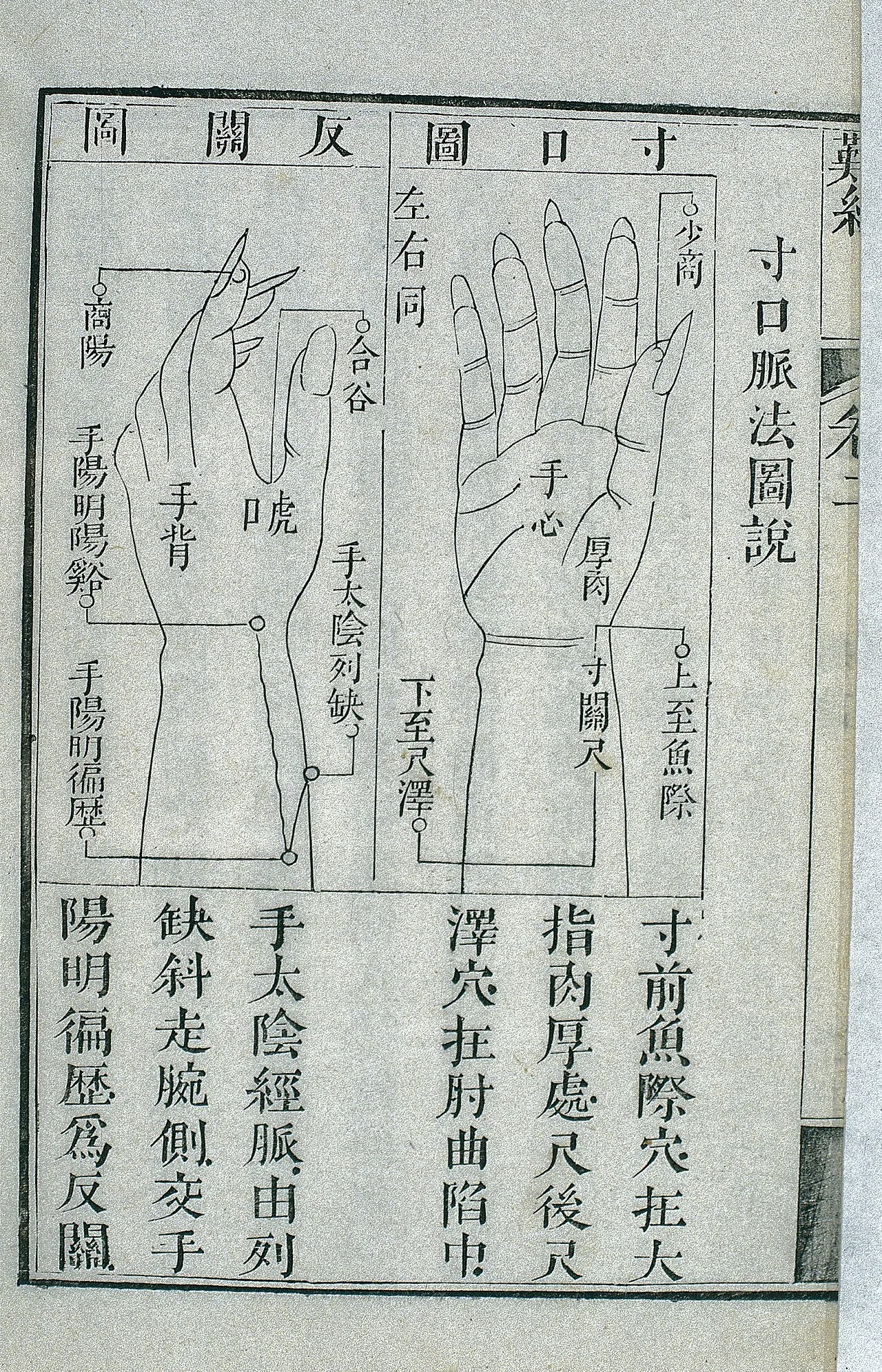 Palpation