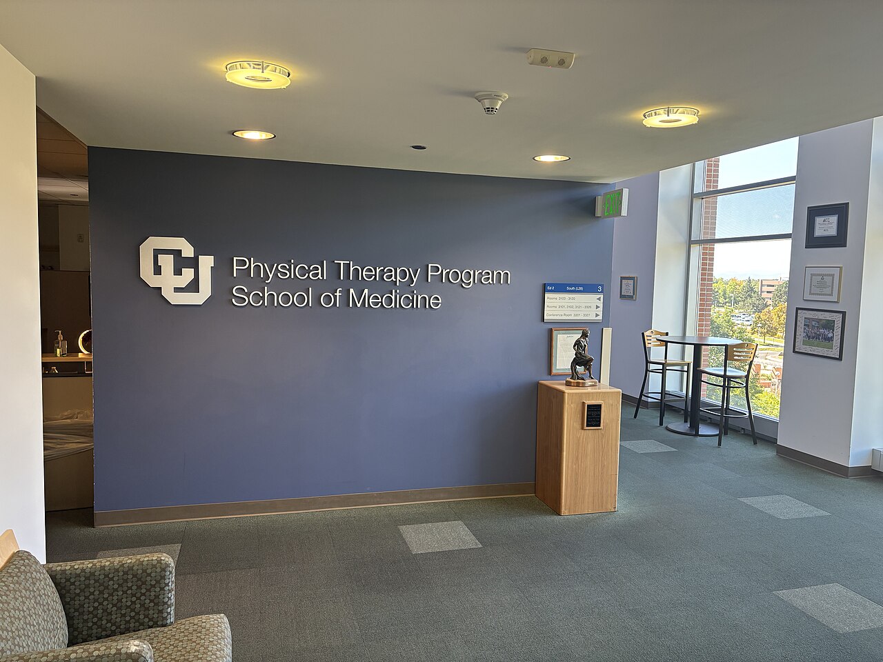 Physical therapy